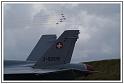 Hornet Suisse